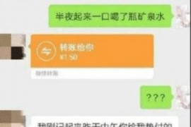 镇沅讨债公司